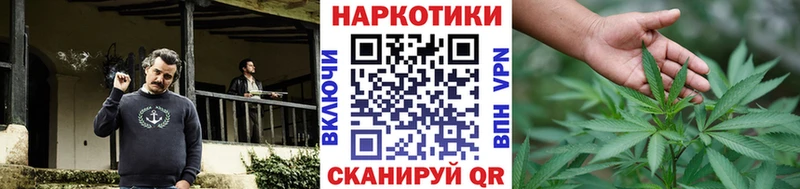 Все наркотики Лесной Вейп ТГК  Бошки Шишки  Мефедрон  ГАШ 