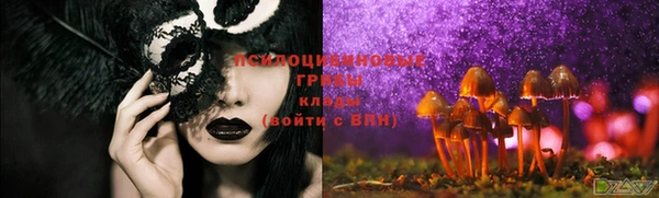 шишки Краснослободск