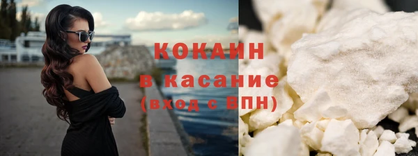 шишки Краснослободск
