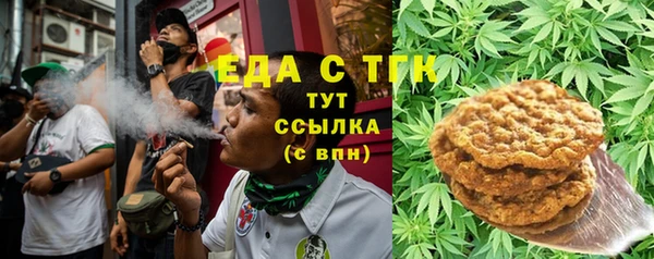 шишки Краснослободск