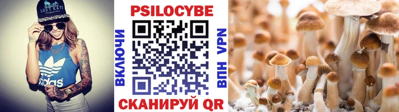 Галлюциногенные грибы ЛСД  Лесной 