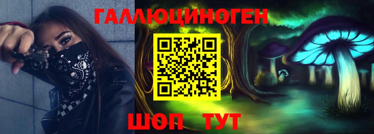 Лесной  Галлюциногенные грибы мухоморы  Вход с VPN 