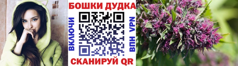 Бошки марихуана Amnesia Лесной